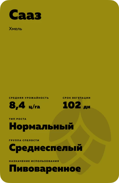 Сааз
