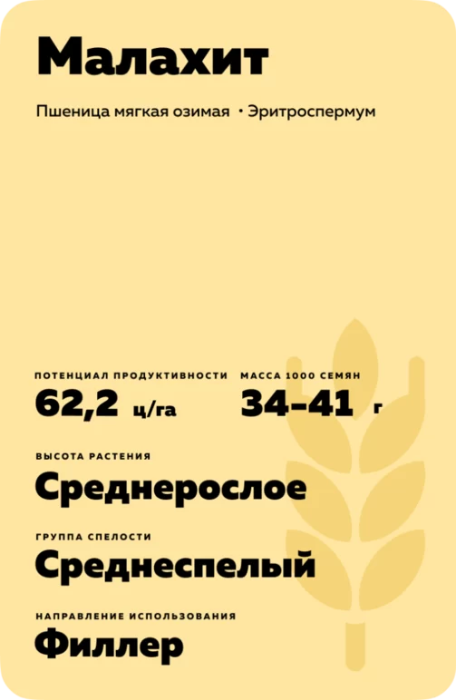 Малахит
