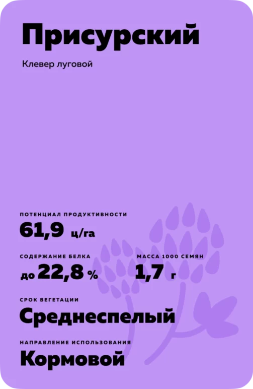 Присурский