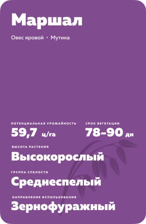 Маршал сорт овса ярового