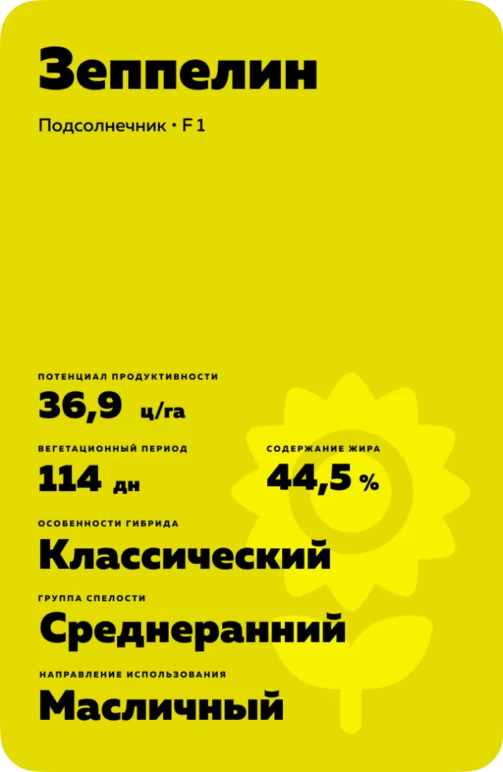 Зеппелин (ZEPPELIN) подсолнечник