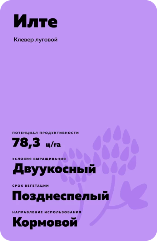 Илте