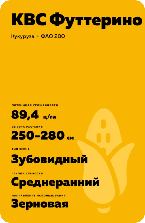 КВС Футтерино - гибрид кукурузы ( Zea mays L.).