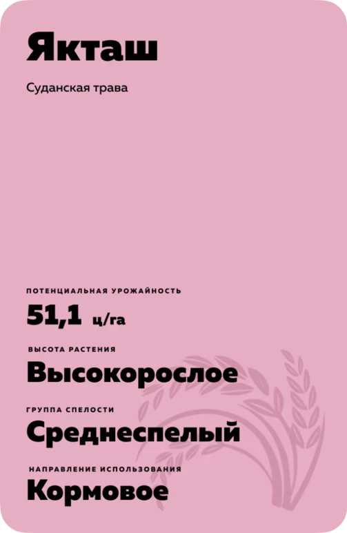 Якташ