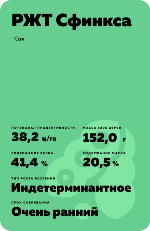 РЖТ Сфинкса