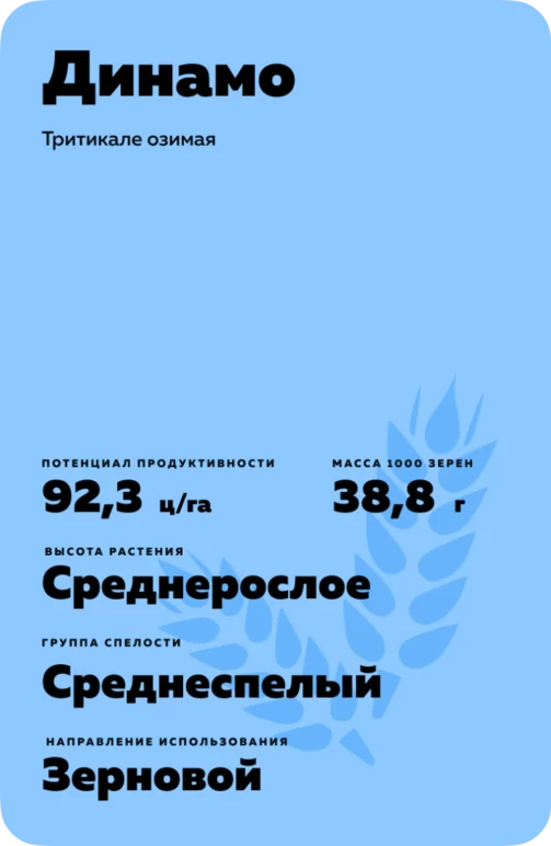 Динамо