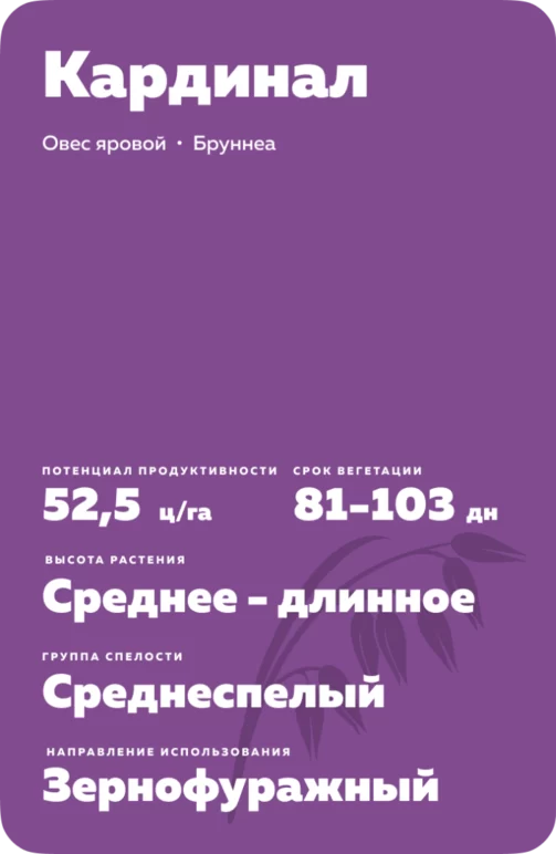 Кардинал сорт овса ярового