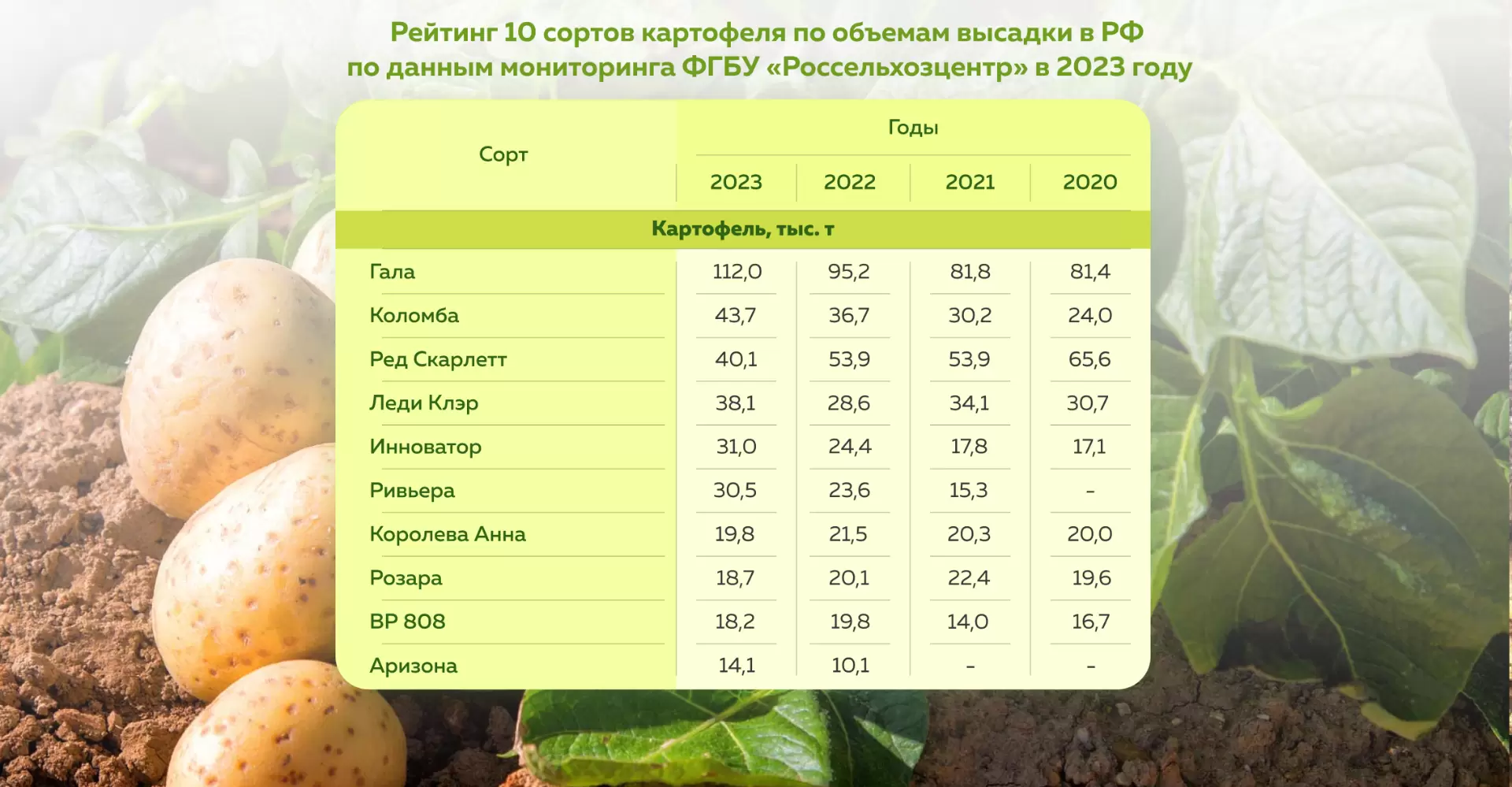 Сорта картофеля от СХП «Дары Малиновки»