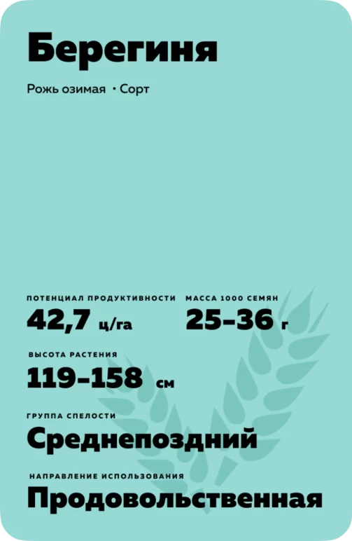 Берегиня рожь озимая