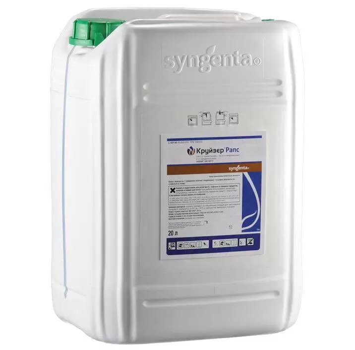 Круйзер Рапс, КС