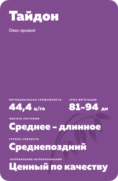 Тайдон сорт овса ярового