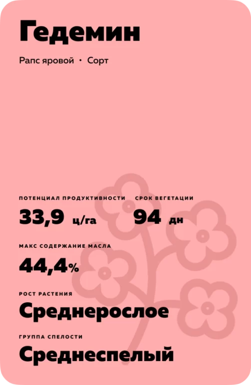 Гедемин