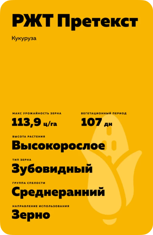 РЖТ Претекст (RGT PRETEXXTE)