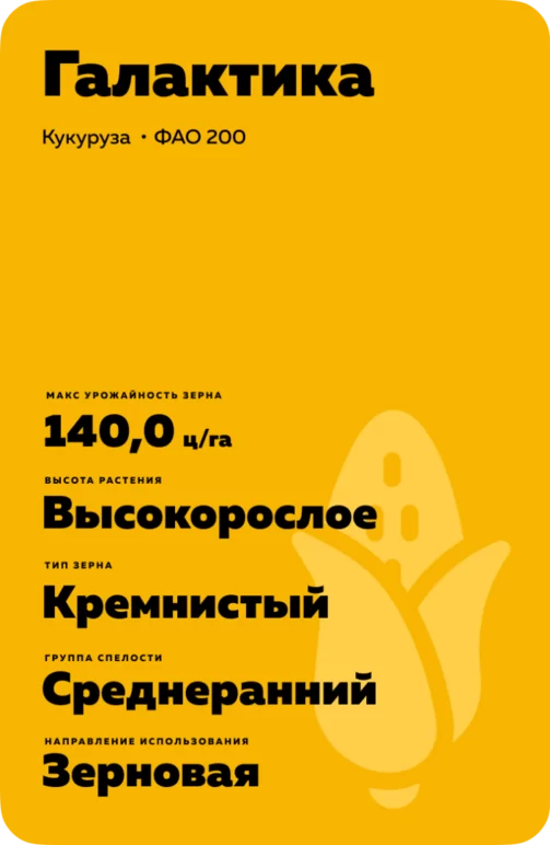 Галактика