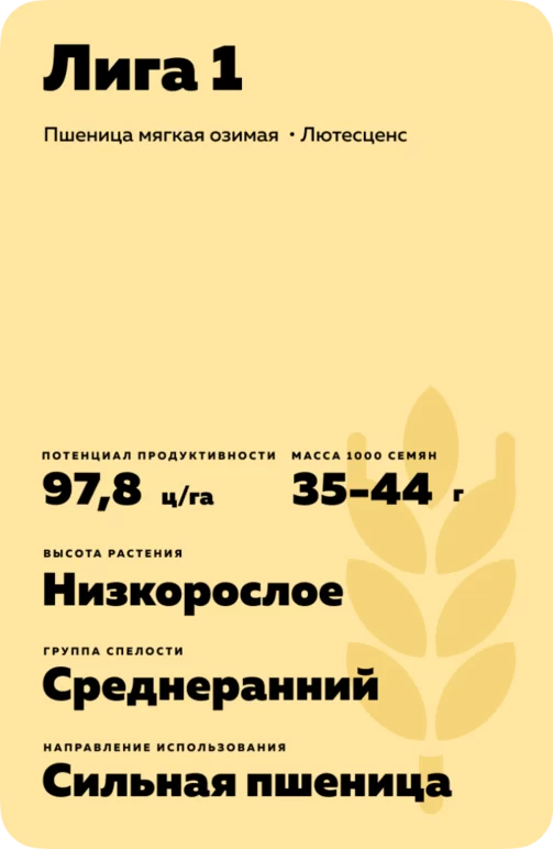 Лига 1
