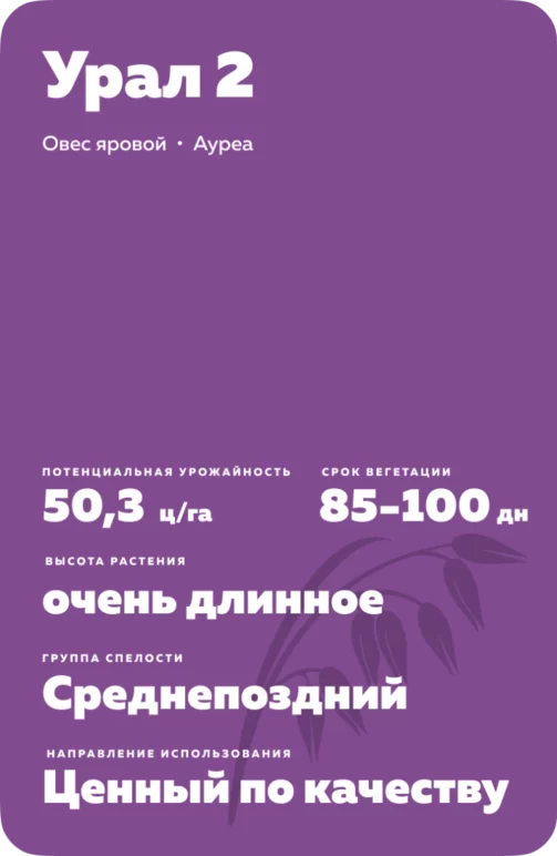 Урал 2 сорт овса ярового