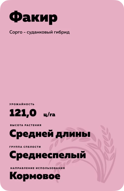 Факир