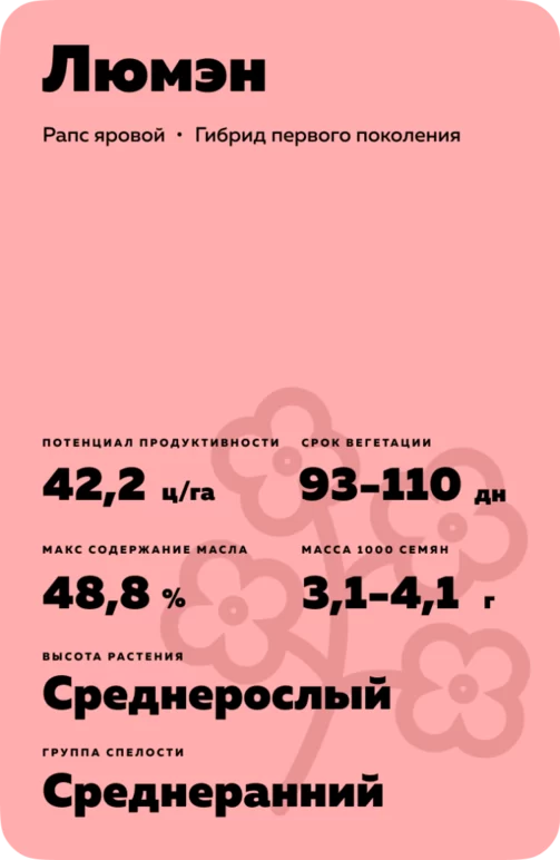 Люмэн (LUMEN) рапс яровой