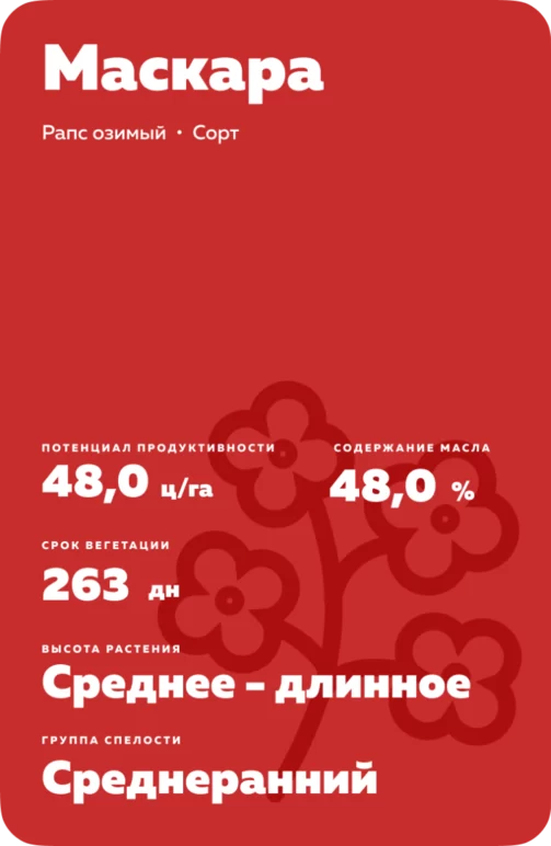 Маскара (MASCARA) рапс озимый