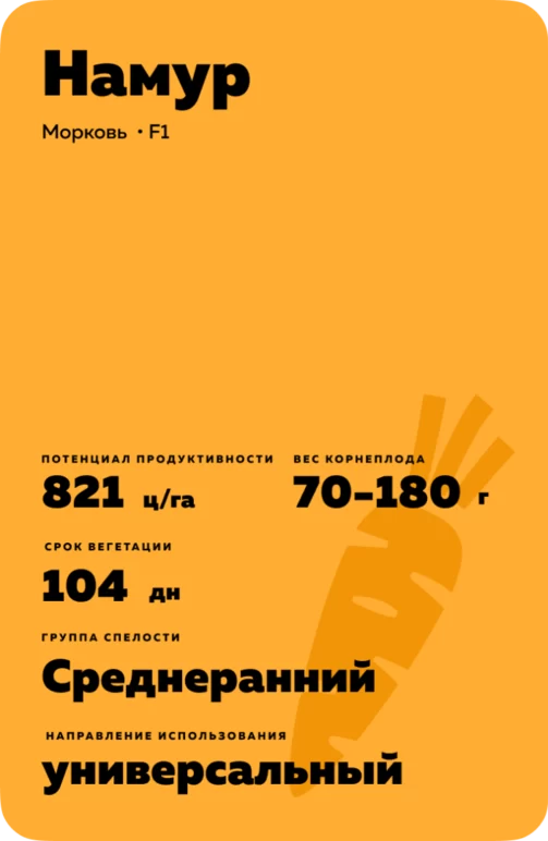 Намур F1 (NAMUR)