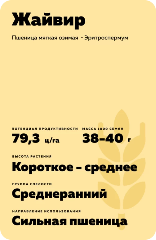 Жайвир пшеница мягкая озимая