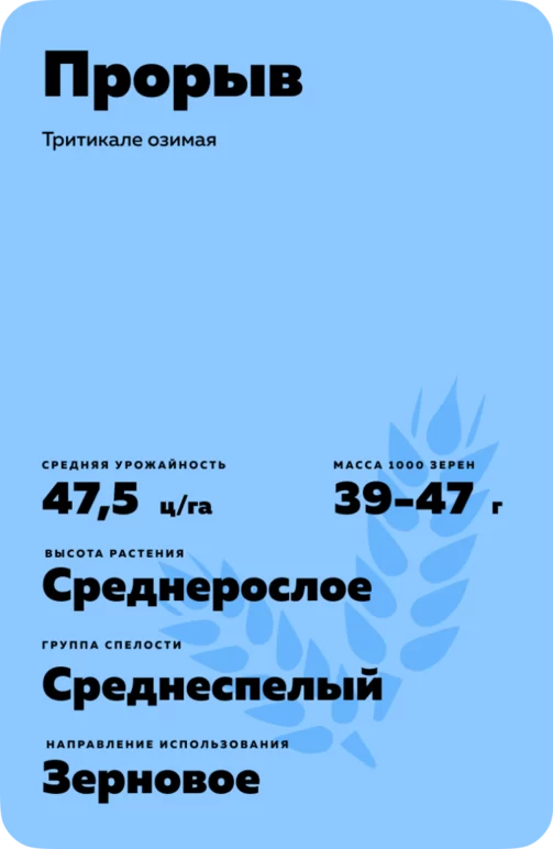 Прорыв