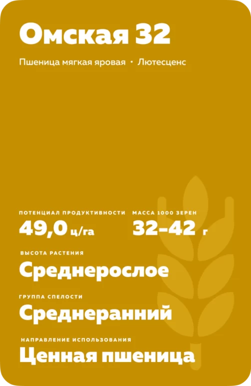 Омская 32