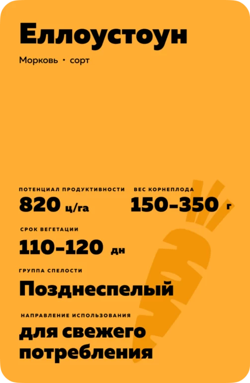 Еллоустоун (желтая)