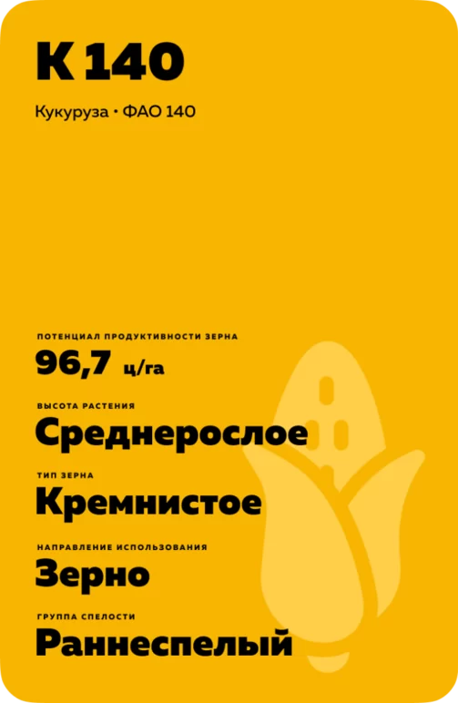 К 140 гибрид кукурузы