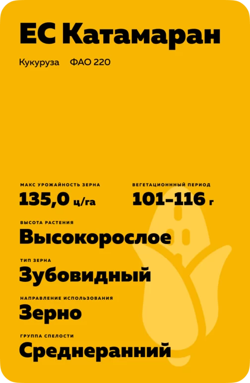 ЕС Катамаран гибрид кукурузы