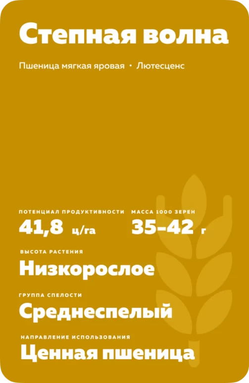 Степная волна