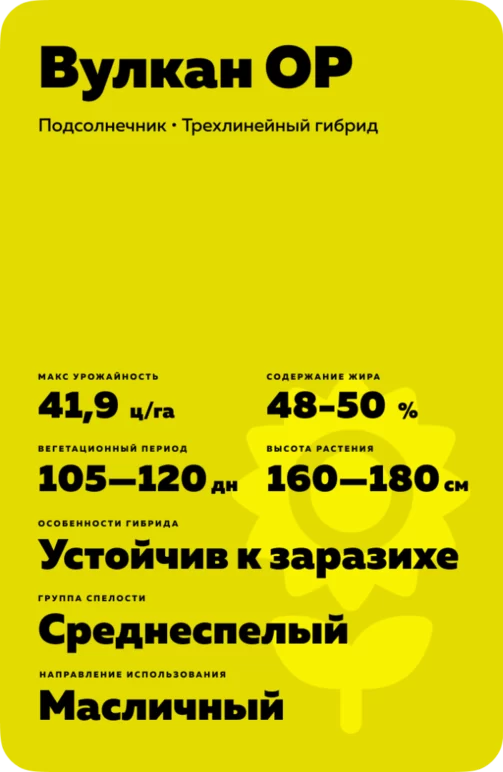 Вулкан ОР гибрид подсолнечника