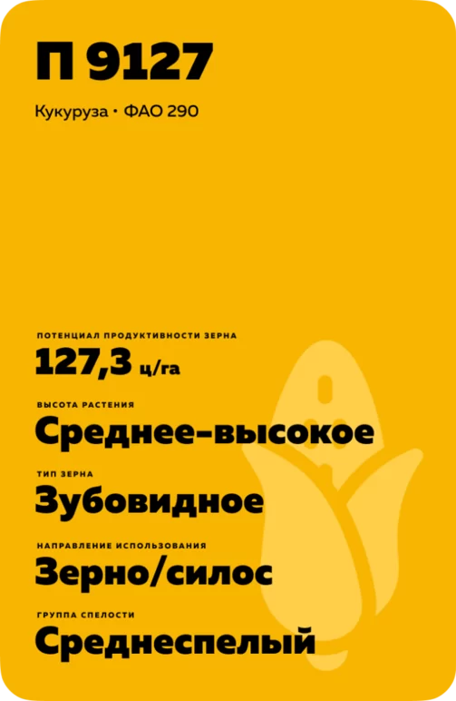П 9127 - гибрид кукурузы Пионер