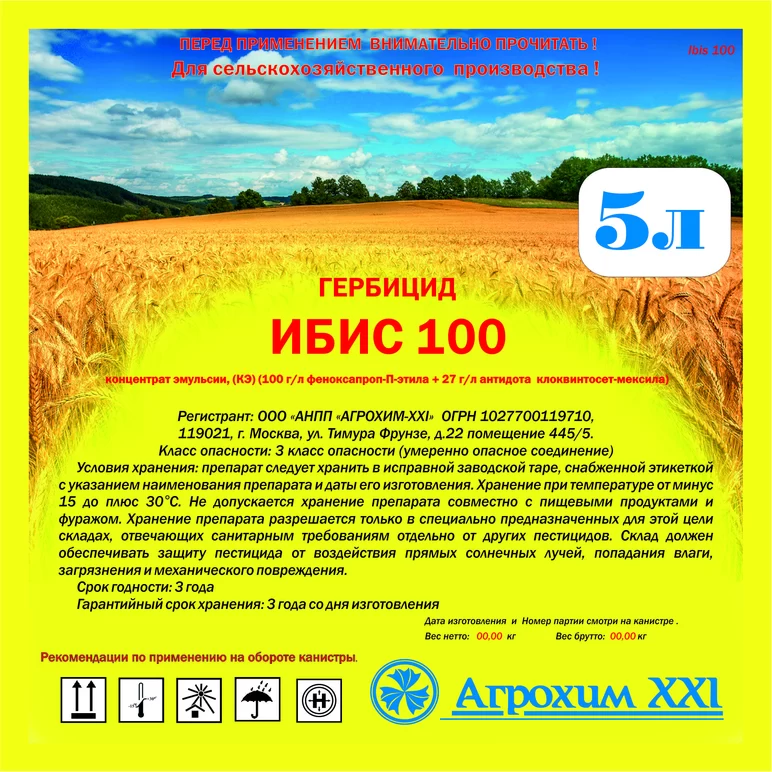 Ибис 100, КЭ