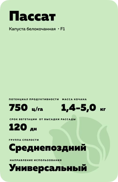 Пассат (PASSAT)  гибрид капусты белокочанной
