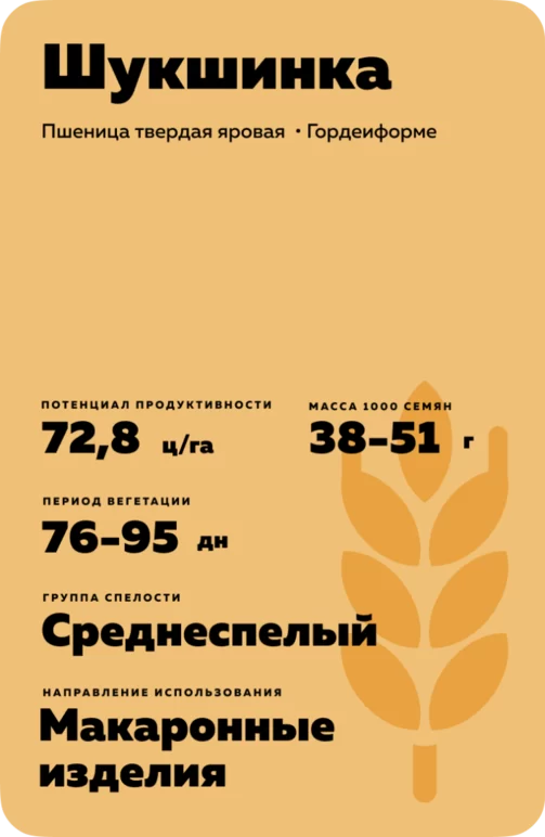 Шукшинка сорт пшеницы твердой яровой