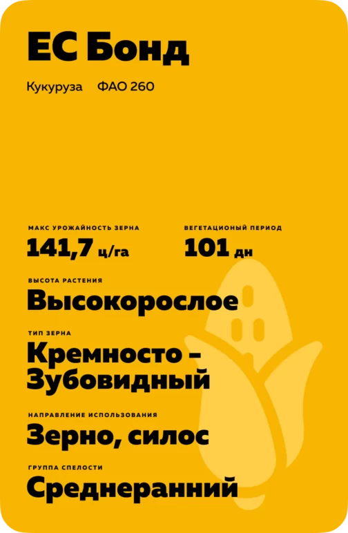 ЕС Бонд - гибрид кукурузы ( Zea mays L.).