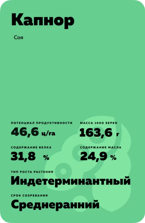 Капнор