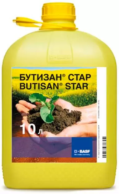 Бутизан Стар, КС