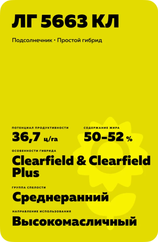 ЛГ 5663 КЛ подсолнечник