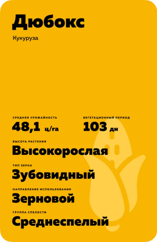 Дюбокс (DUBOXX)