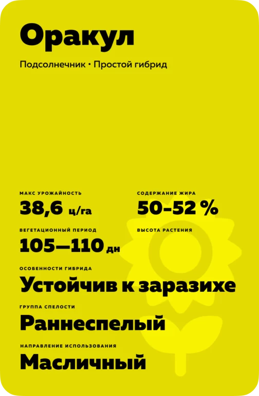Оракул гибрид подсолнечника