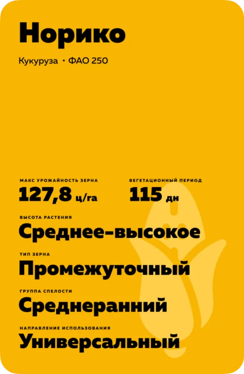 Норико гибрид кукурузы