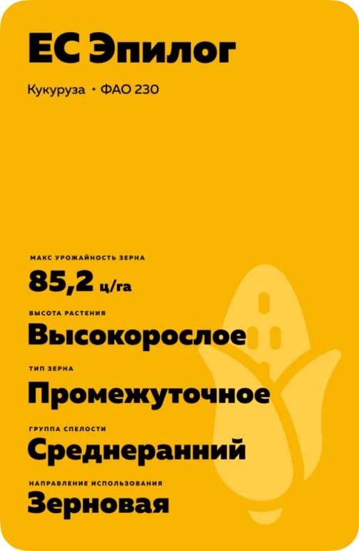 ЕС Эпилог (ES EPILOG)