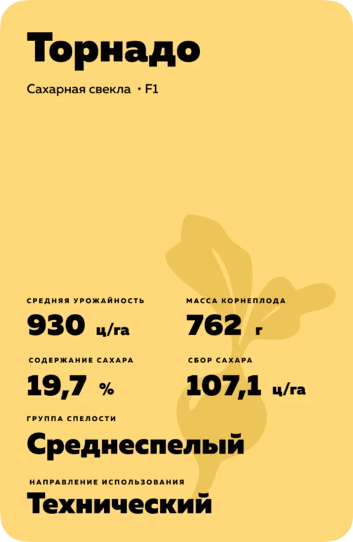 Торнадо