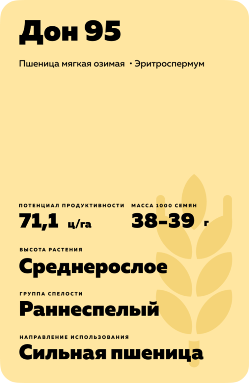 Дон 95 сорт мягкой озимой пшеницы