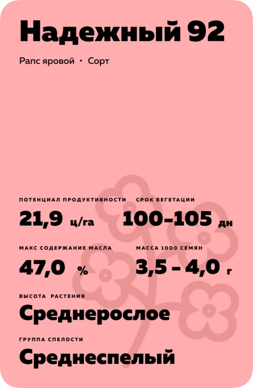 Надежный 92 сорт рапса ярового
