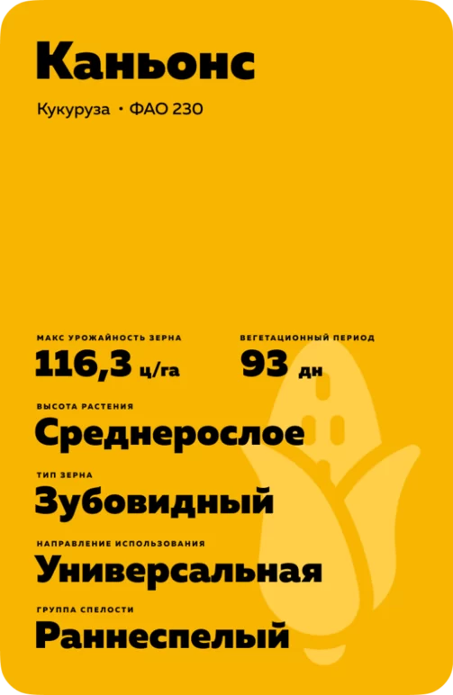 Каньонс (KANYONS)