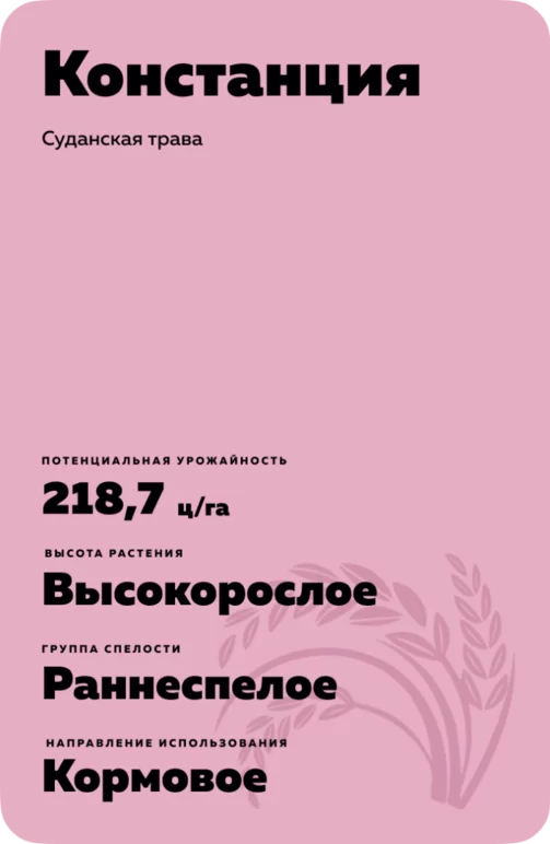Констанция