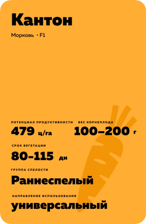 Кантон F1 (CANTON)